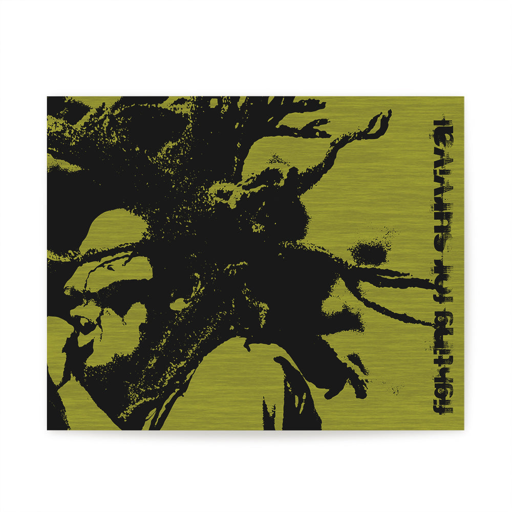 Buffalo Soldier
